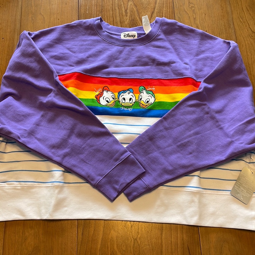 Disney Purple Sweatshirt with Rainbow and Characters